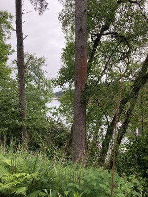 jour18_075.JPG