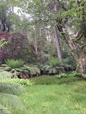 jour18_099.JPG