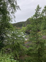 jour18_079.JPG