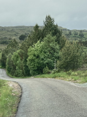 jour19_081.JPG