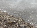 Filename=jour20_008.JPG
Filesize=287KiB
Dimensions=800x600
Date added=Jun 09, 2026 jour20_008.JPG