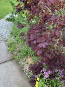 Filename=jour20_014.JPG
Filesize=202KiB
Dimensions=450x600
Date added=Jun 09, 2026 jour20_014.JPG
