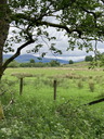 jour20_114.JPG