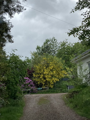 jour21_001.JPG