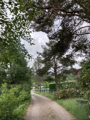 jour21_016.JPG