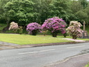 Filename=jour21_042.JPG
Filesize=293KiB
Dimensions=800x600
Date added=Jun 09, 2026 jour21_042.JPG