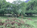 Filename=jour21_046.JPG
Filesize=358KiB
Dimensions=800x600
Date added=Jun 09, 2026 jour21_046.JPG