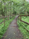 Filename=jour21_047.JPG
Filesize=211KiB
Dimensions=450x600
Date added=Jun 09, 2026 jour21_047.JPG