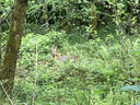 Filename=jour21_056.JPG
Filesize=311KiB
Dimensions=800x600
Date added=Jun 09, 2026 jour21_056.JPG