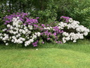 Filename=jour21_058.JPG
Filesize=346KiB
Dimensions=800x600
Date added=Jun 09, 2026 jour21_058.JPG