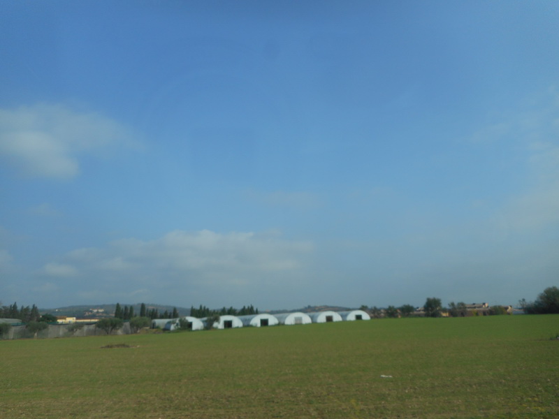 jour02_010.JPG