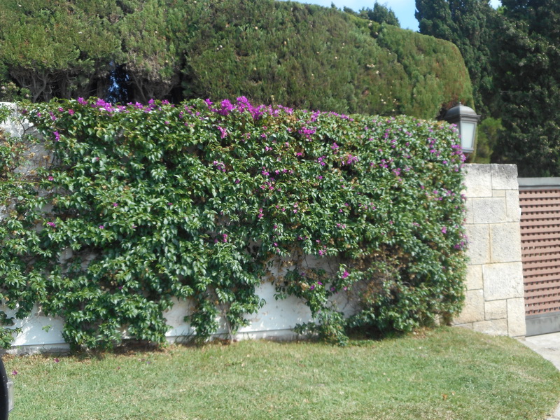 jour02_060.JPG