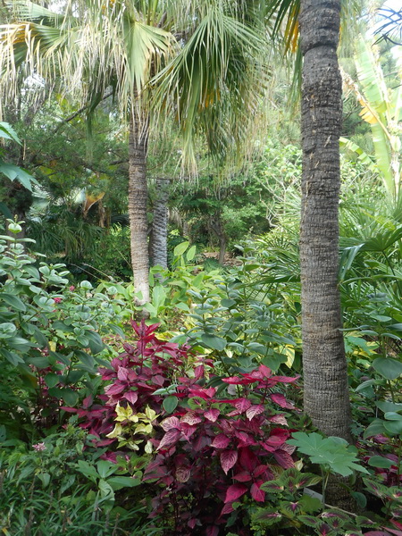 jour02_065.JPG