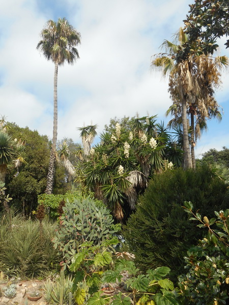 jour02_066.JPG