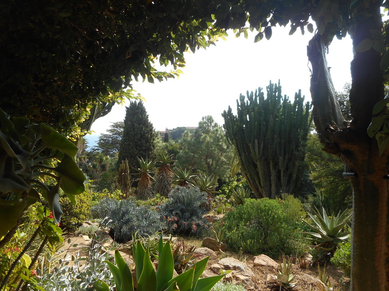 jour02_068.JPG