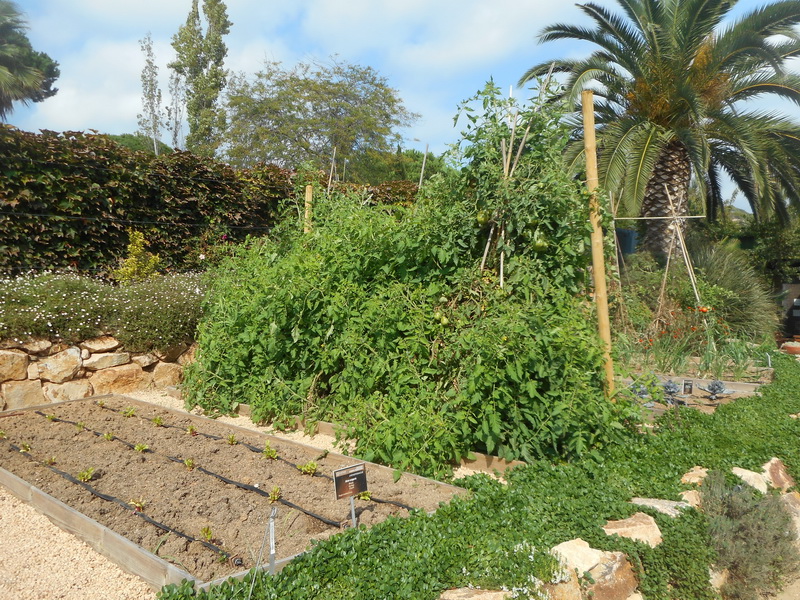 jour02_076.JPG