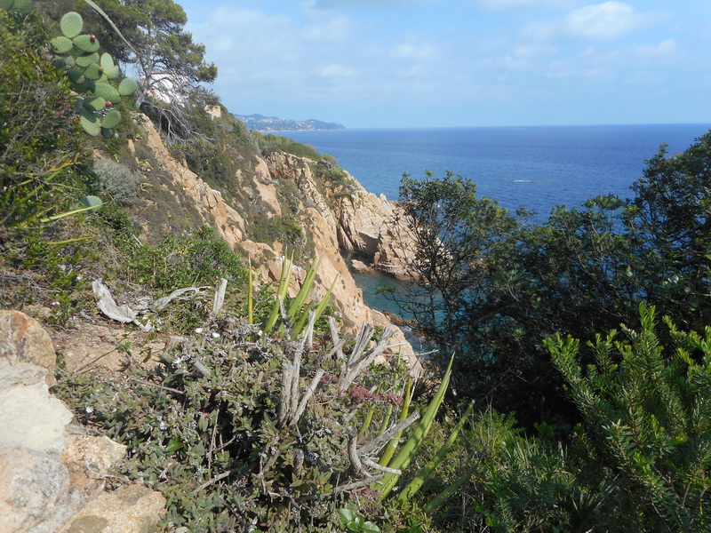 jour02_096.JPG