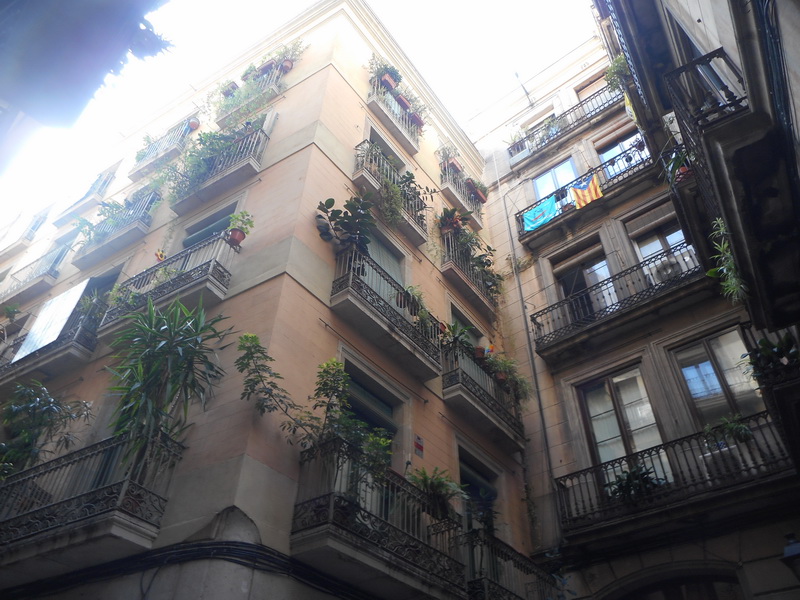 jour05_087.JPG