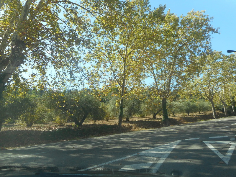 jour06_023.JPG