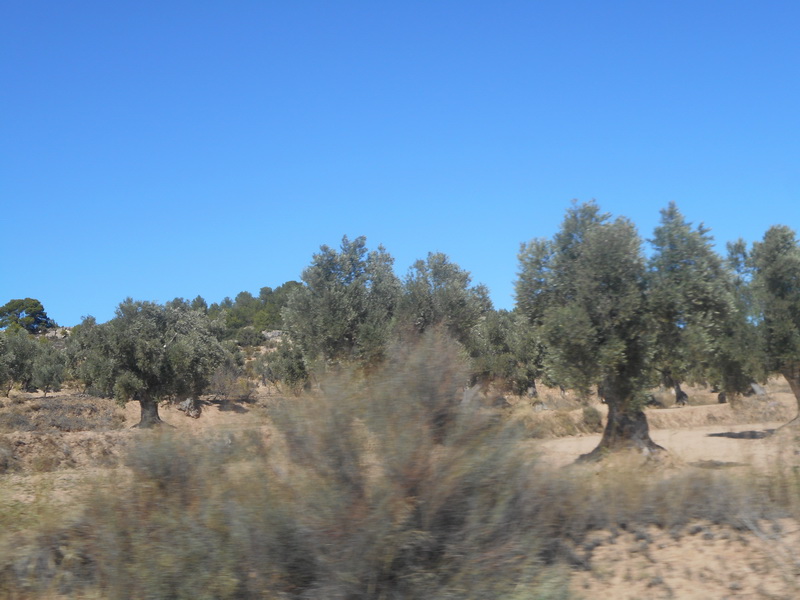 jour06_046.JPG
