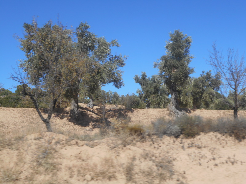 jour06_047.JPG