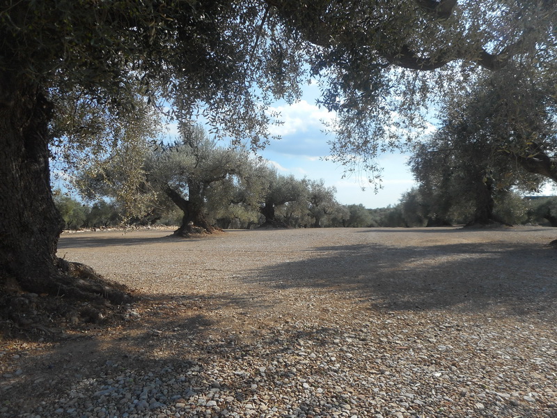 jour06_061.JPG