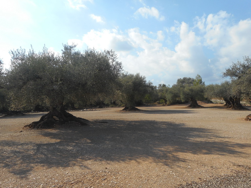 jour06_064.JPG