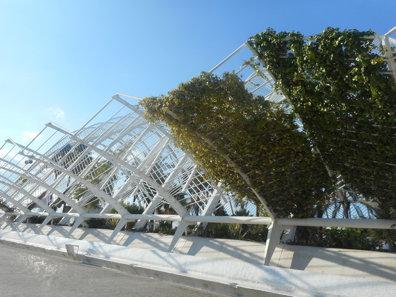 jour07_025.JPG