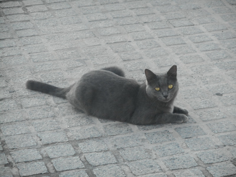 jour07_027.JPG