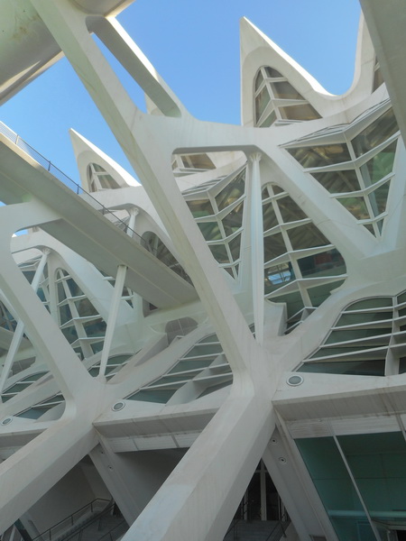 jour07_034.JPG