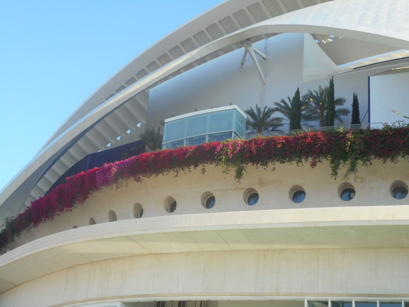 jour07_039.JPG