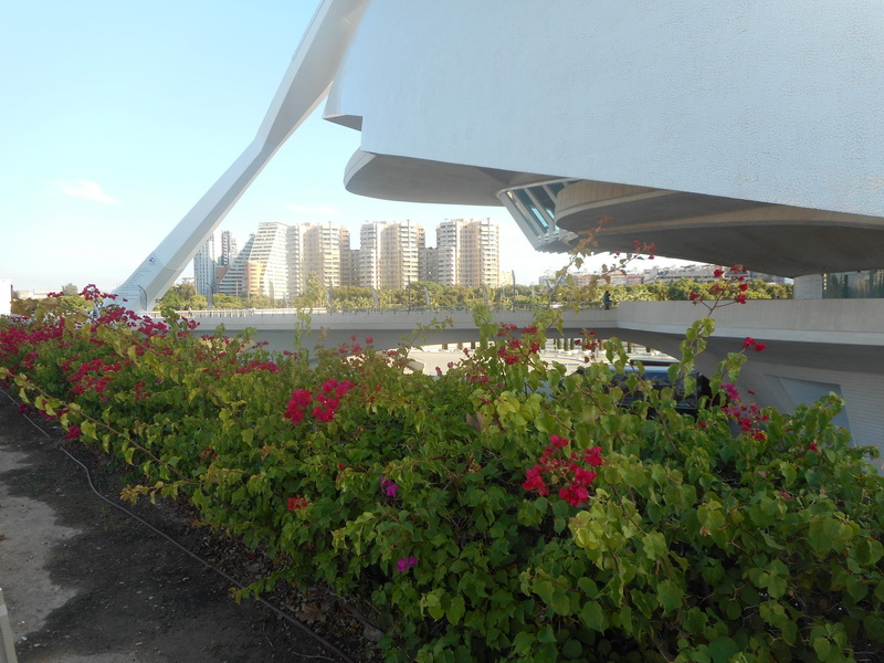 jour07_041.JPG