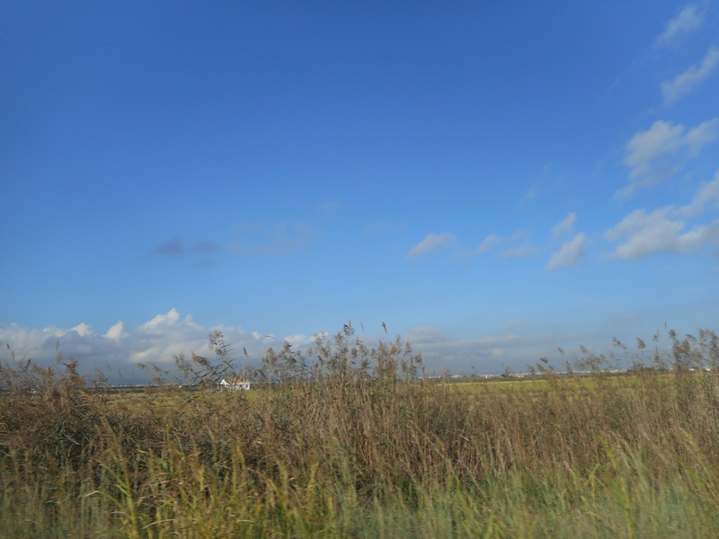 jour07_045.JPG