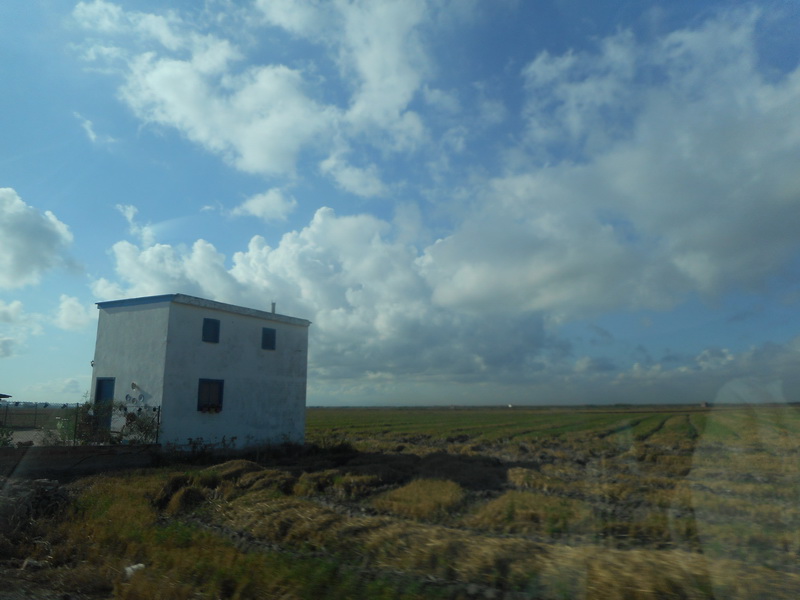 jour07_050.JPG