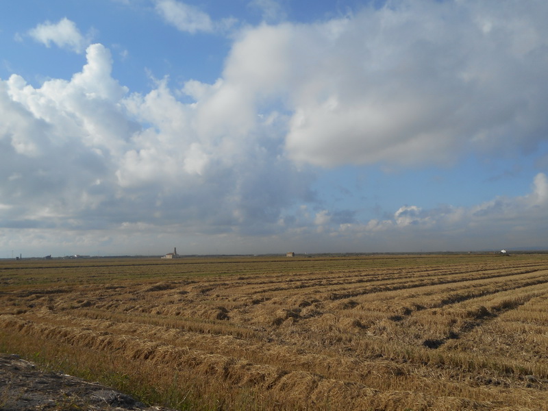 jour07_051.JPG