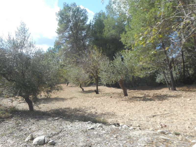 jour07_138.JPG