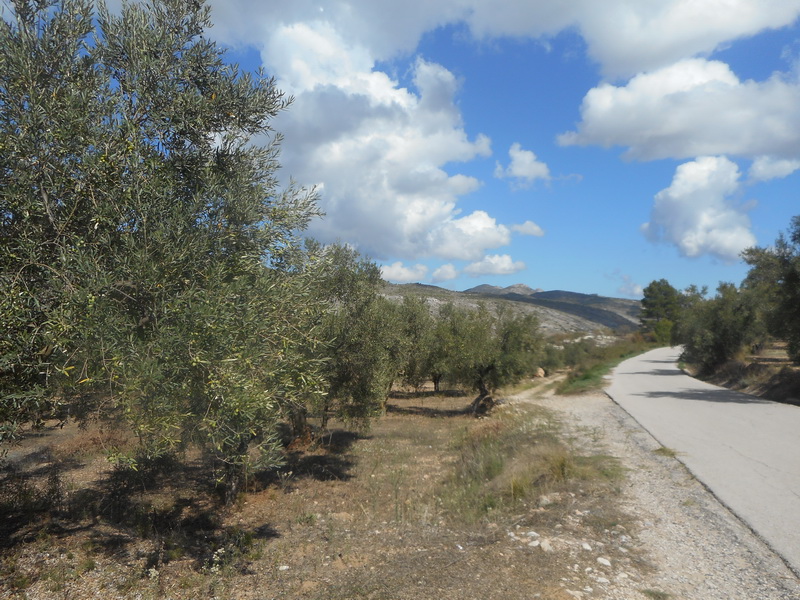 jour07_142.JPG