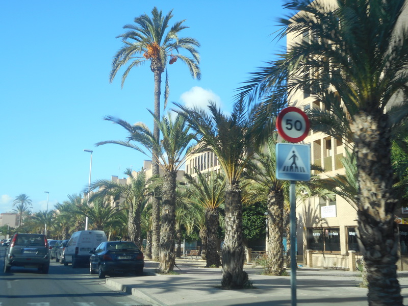 jour07_170.JPG