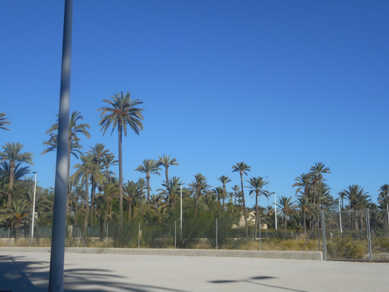 jour07_172.JPG