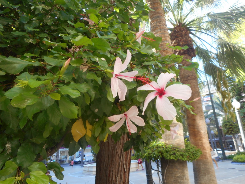 jour07_175.JPG