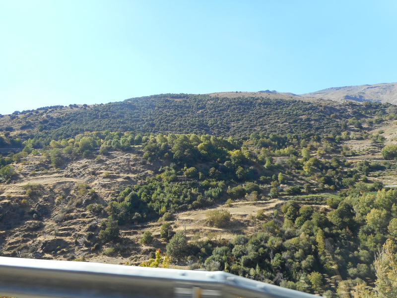 jour09_115.JPG