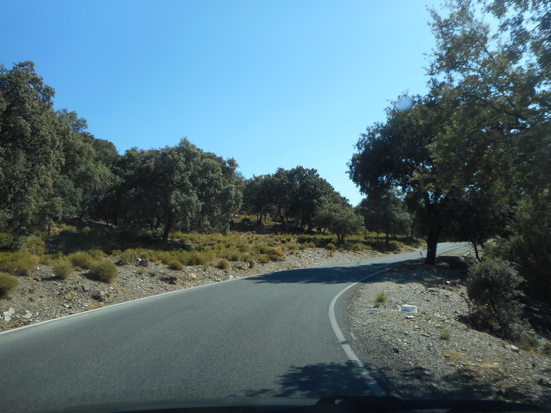 jour09_117.JPG