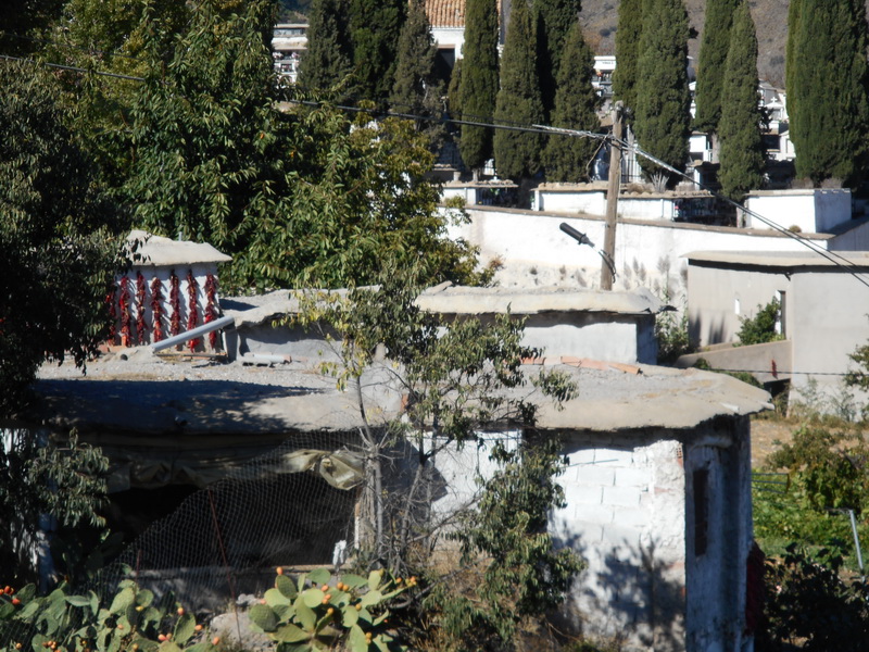 jour09_126.JPG