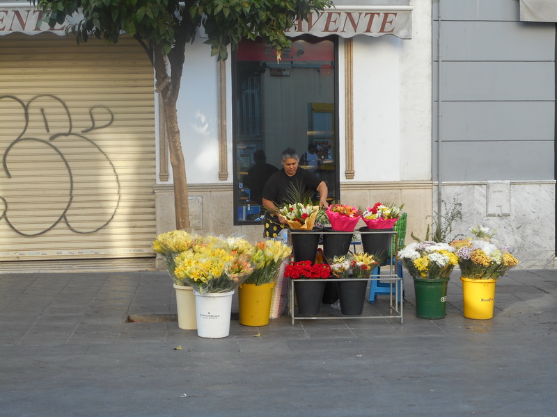 jour11_035.JPG