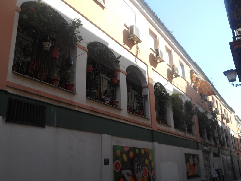 jour12_077.JPG