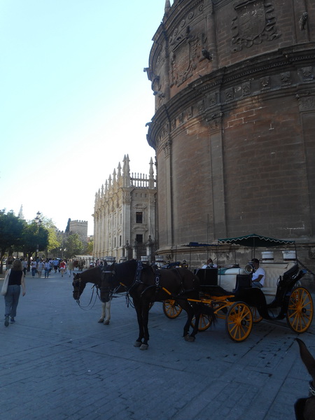 jour12_107.JPG
