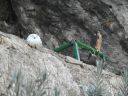 Filename=jour13_146.JPG
Filesize=205KiB
Dimensions=800x600
Date added=Jan 02, 2018 jour13_146.JPG