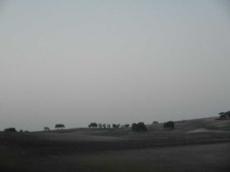 jour14_001.JPG