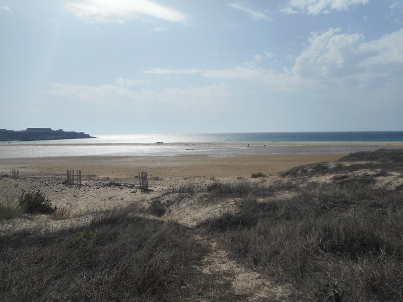jour14_095.JPG