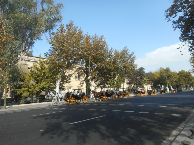 jour15_010.JPG